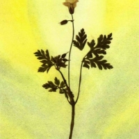 Letter from a client